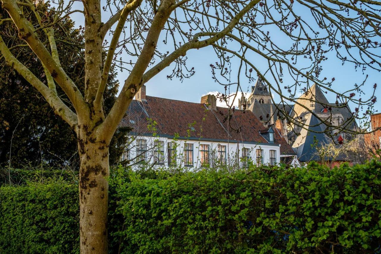 B&B Ar'Home Kortrijk Eksteriør billede